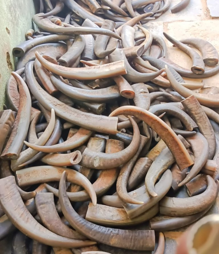 2_20231109_174157_0000