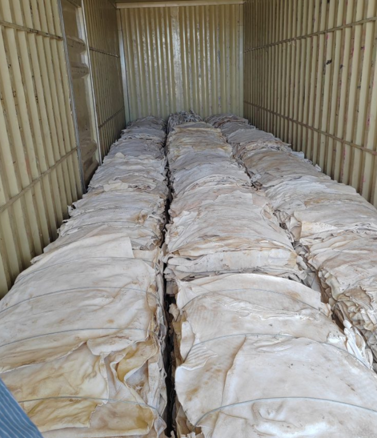 3_20231109_174157_0001