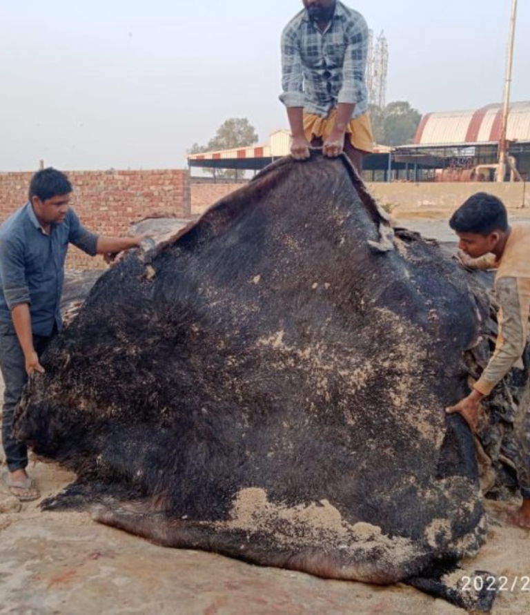 4_20231109_174157_0002