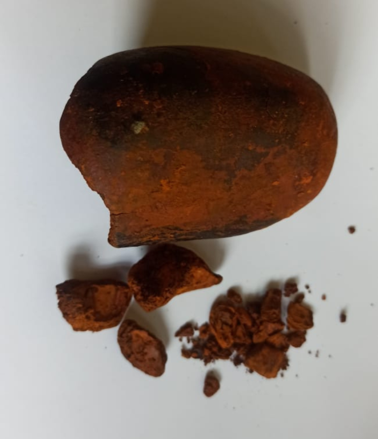 5_20231109_174157_0003