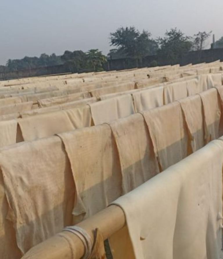 6_20231109_174157_0004